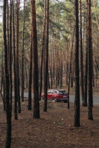car-parked-woods
